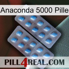Anaconda 5000 Pill viagra4